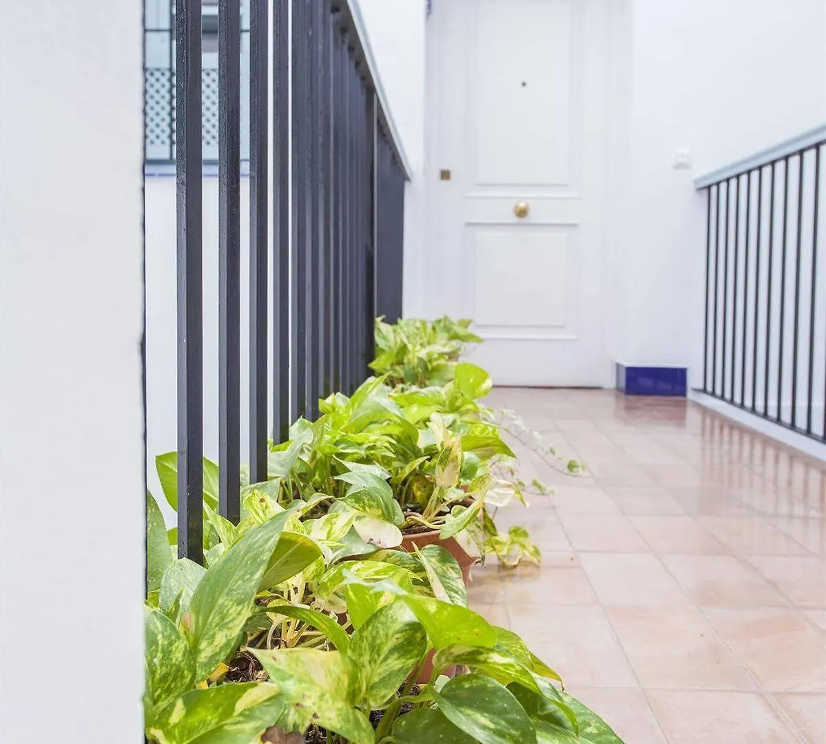 Apartamentos Suites Santa Cruz Seville